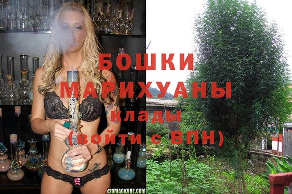 трава Алзамай