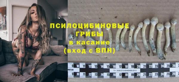 ECSTASY Алексин