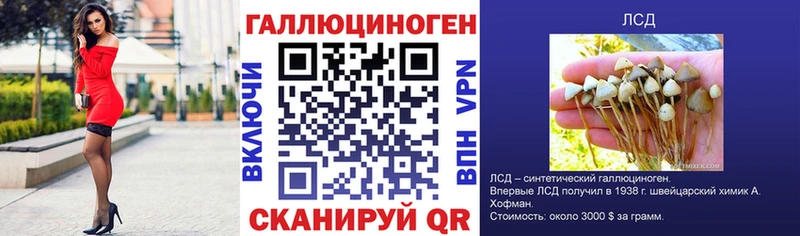 darknet телеграм  купить   Ленинск  Псилоцибиновые грибы Psilocybine cubensis 